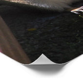 チャブチムンク ポスター (角)