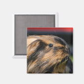 チャブル磁石 マグネット (正面/裏面)