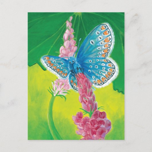 チャプマンブルーバタフライ(Polyommatus thersites) シーズンポストカード (正面)