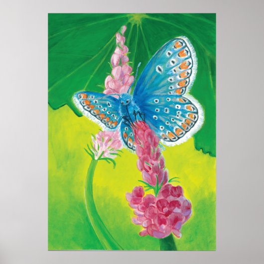 チャプマンブルーバタフライ(Polyommatus thersites) ポスター (正面)