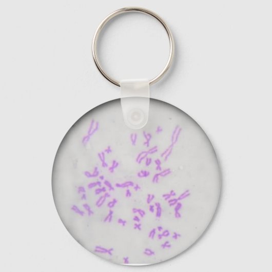 チャベイロクロモソモス キーホルダー (正面)