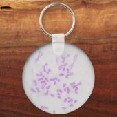 チャベイロクロモソモス キーホルダー (正面)