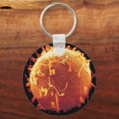 チャベイロ文脈学 キーホルダー (正面)