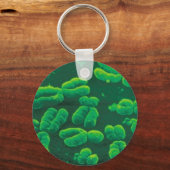 チャベイロ・クロモソモス キーホルダー (正面)