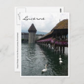 チャペル橋の白鳥 ポストカード (正面/裏面)