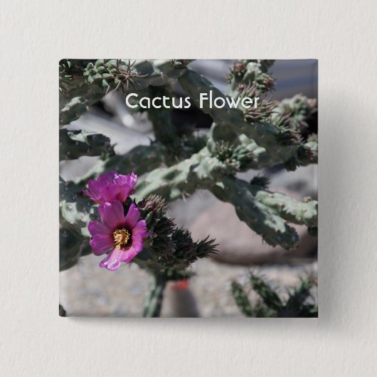 チャラカクタス 開花 缶バッジ (正面)