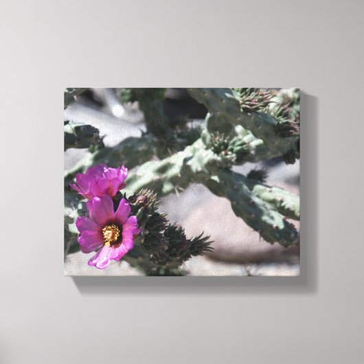 チャラサボテン開花 キャンバスプリント (正面)
