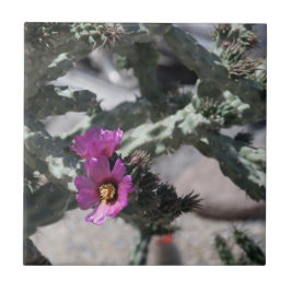 チャラサボテン開花 タイル