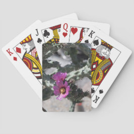 チャラサボテン開花 トランプ