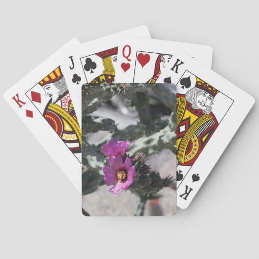 チャラサボテン開花 トランプ (裏面)