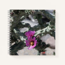 チャラサボテン開花