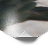 チャラサボテン開花 フォトプリント            (角)