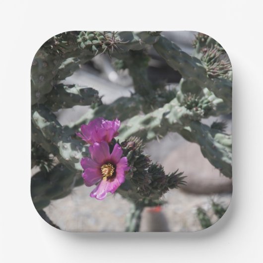 チャラサボテン開花 ペーパープレート (正面)