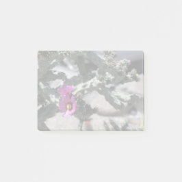 チャラサボテン開花 ポストイット