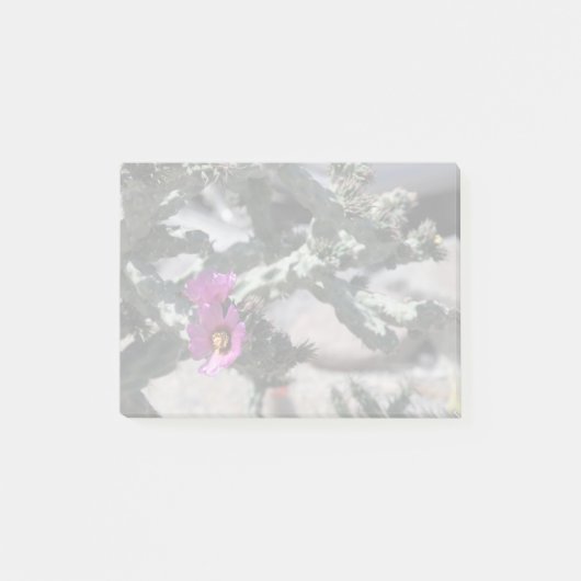 チャラサボテン開花 ポストイット (正面)