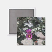 チャラサボテン開花 マグネット (正面/裏面)