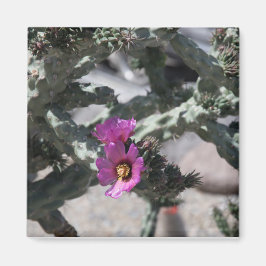 チャラサボテン開花 マグネット