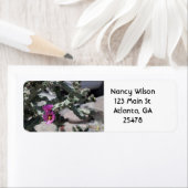 チャラサボテン開花 ラベル (インサイチュ)