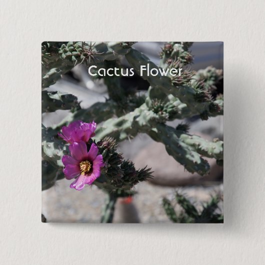 チャラサボテン開花 缶バッジ (正面)