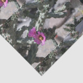 チャラサボテン開花 薄葉紙 (詳細)