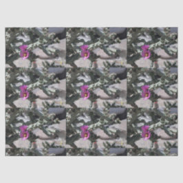 チャラサボテン開花 薄葉紙