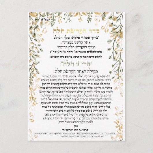 チャラ付きシーダアフラシャトチャラレシピ ポストカード (正面)