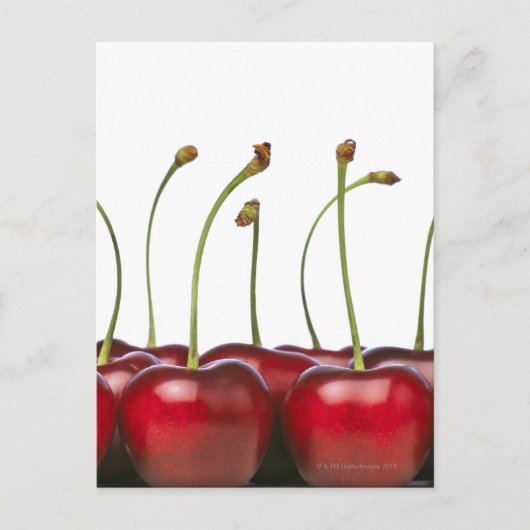 チャリーが手前に撃たれた ポストカード (正面)