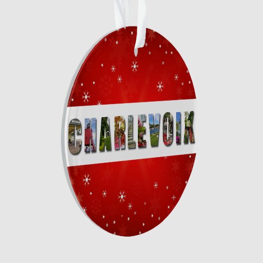チャルヴォイミシガン旅行写真クリスマス オーナメント (正面)