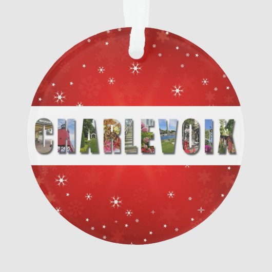 チャルヴォイミシガン旅行写真クリスマス オーナメント (裏面)