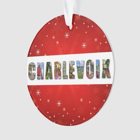 チャルヴォイミシガン旅行写真クリスマス オーナメント (正面)
