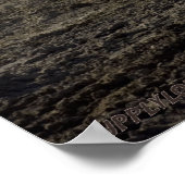 チャレンジャーII ポスター (角)