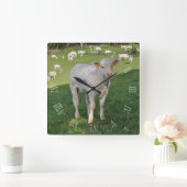 チャロレの子牛をフィールドに スクエア壁時計 (ホーム)