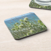 チャロン コースター (左側)