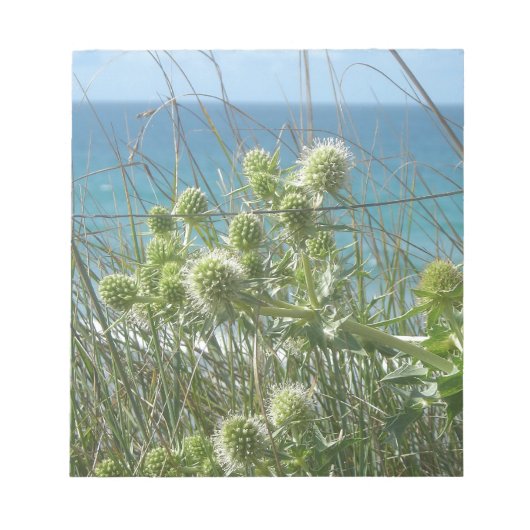 チャロン ノートパッド (正面)