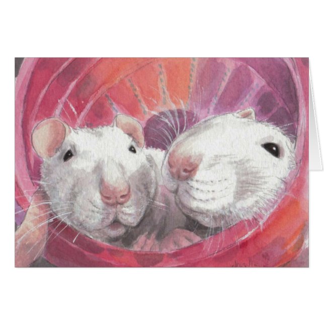 チャンおよび英語 (正面横)