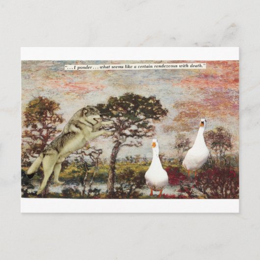 チャンスを狙え！- ポストカード (正面)