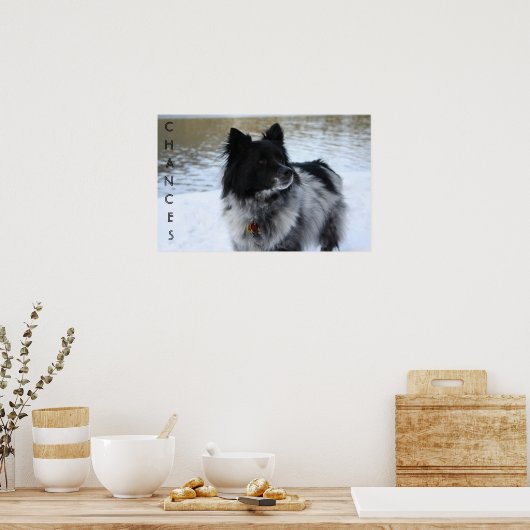 チャンス ポスター (キッチン)