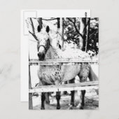 チャンス ポストカード (正面/裏面)