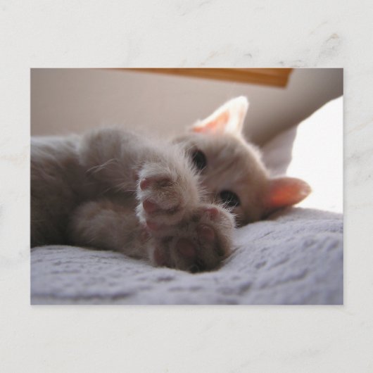 チャンドラー ポストカード (正面)