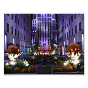 チャンネルガーデンズフィフスアベニューヨークシティNYC フォトプリント