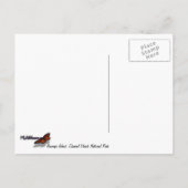 チャンネル諸島で霧が強いアナカパ島 ポストカード (裏面)