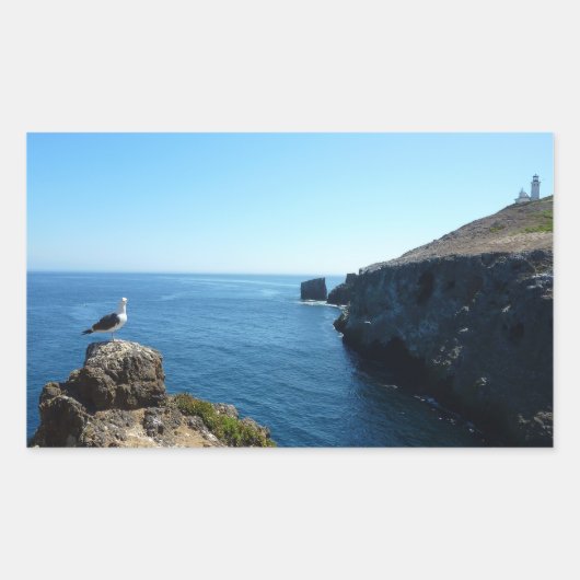 チャンネル諸島のアナカパ島にいるカモメ 長方形シール (正面)