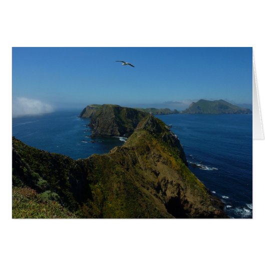 チャンネル諸島のアナカパ島のインスピレーションポイントI (正面横)