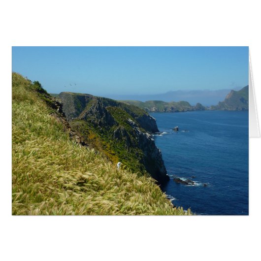 チャンネル諸島のアナカパ島 インスピレーションポイントII (正面横)
