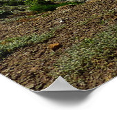 チャンネル諸島のサンタクルーズ島から眺める ポスター (角)