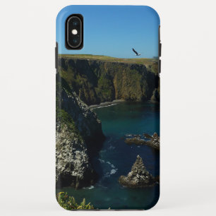 チャンネル諸島の景色 アナカパ島 iPhone XS MAXケース