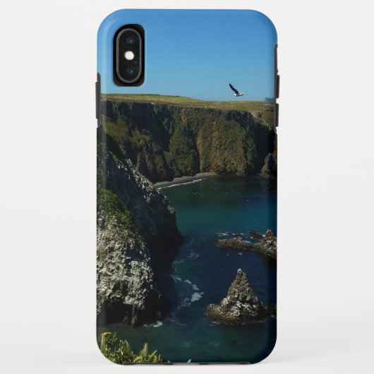 チャンネル諸島の景色 アナカパ島 Case-Mate iPhoneケース (裏面)