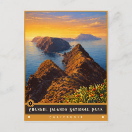 チャンネル諸島国立公園 | ビンテージポストカード ポストカード