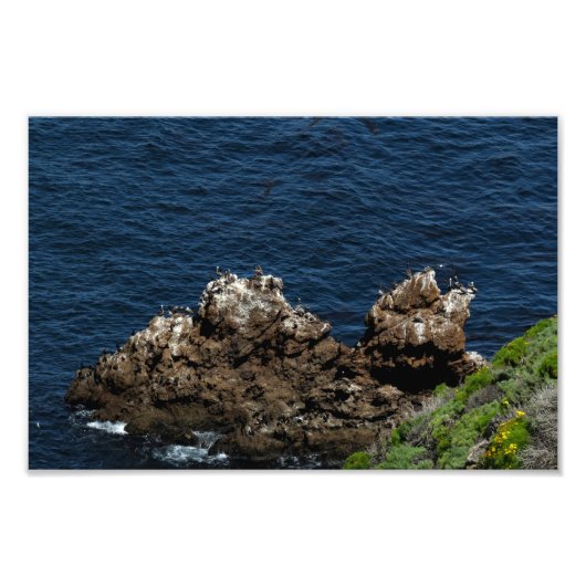 チャンネル諸島国立公園 フォトプリント            (正面)