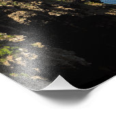 チャンネル諸島国立公園 フォトプリント            (角)